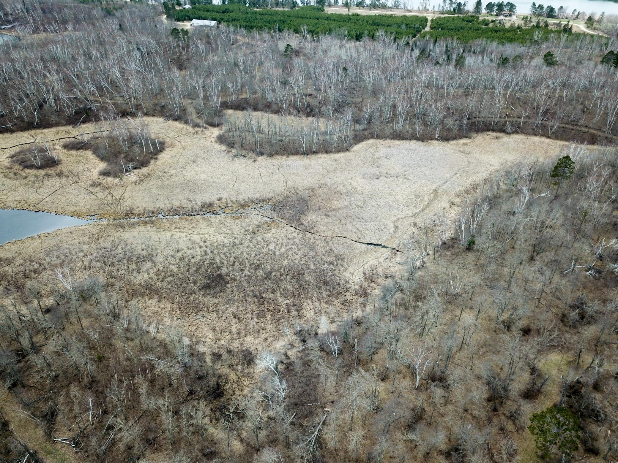 DJI_0168.JPG