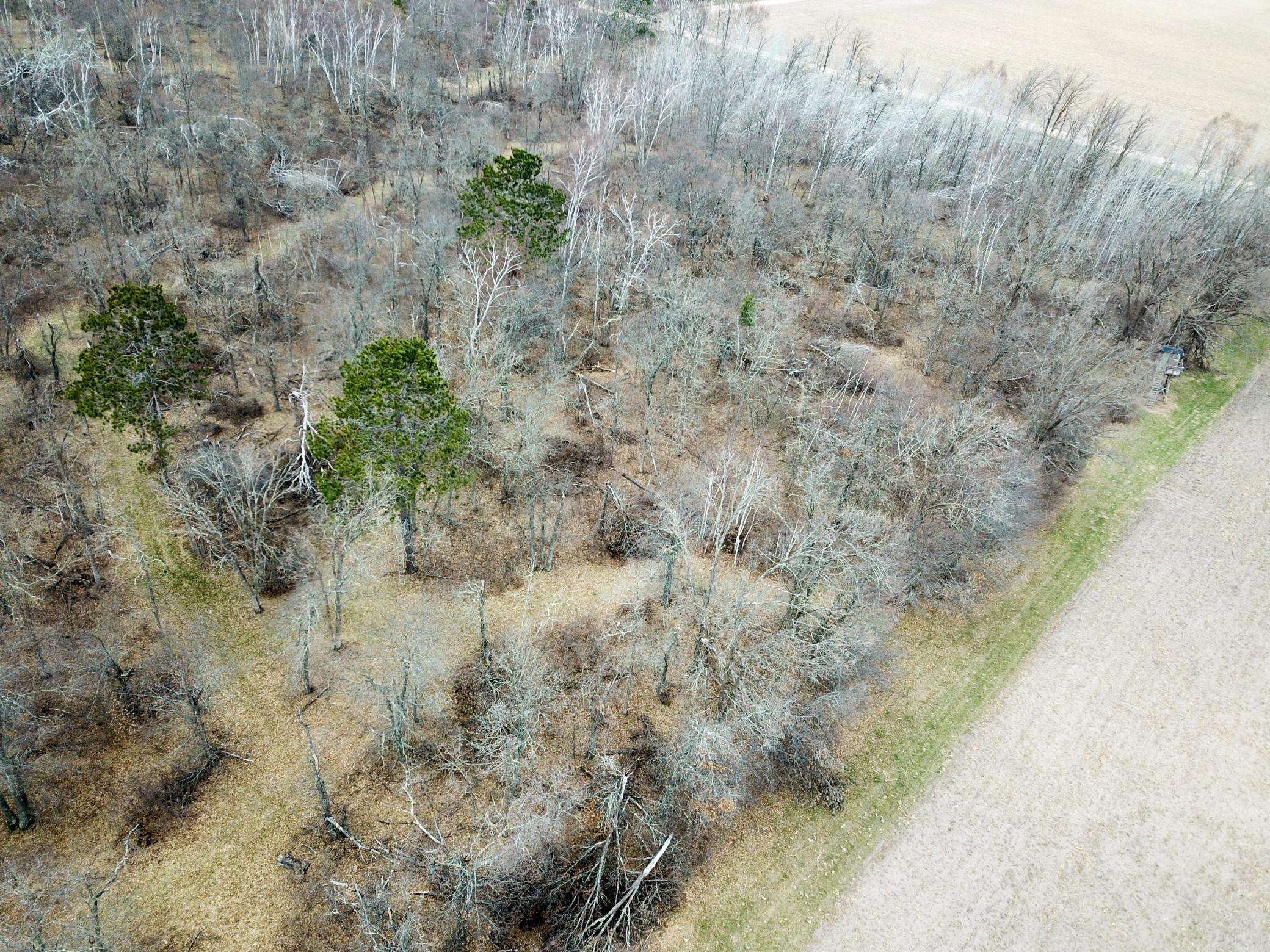 DJI_0173.JPG