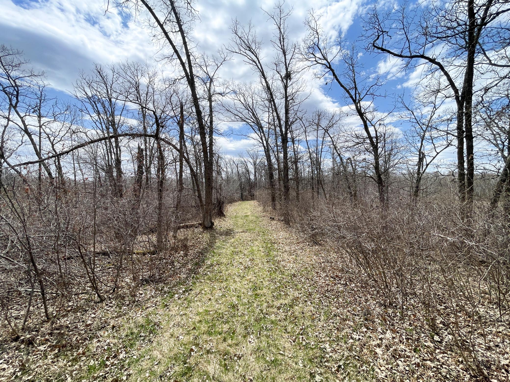 IMG_7043.JPG