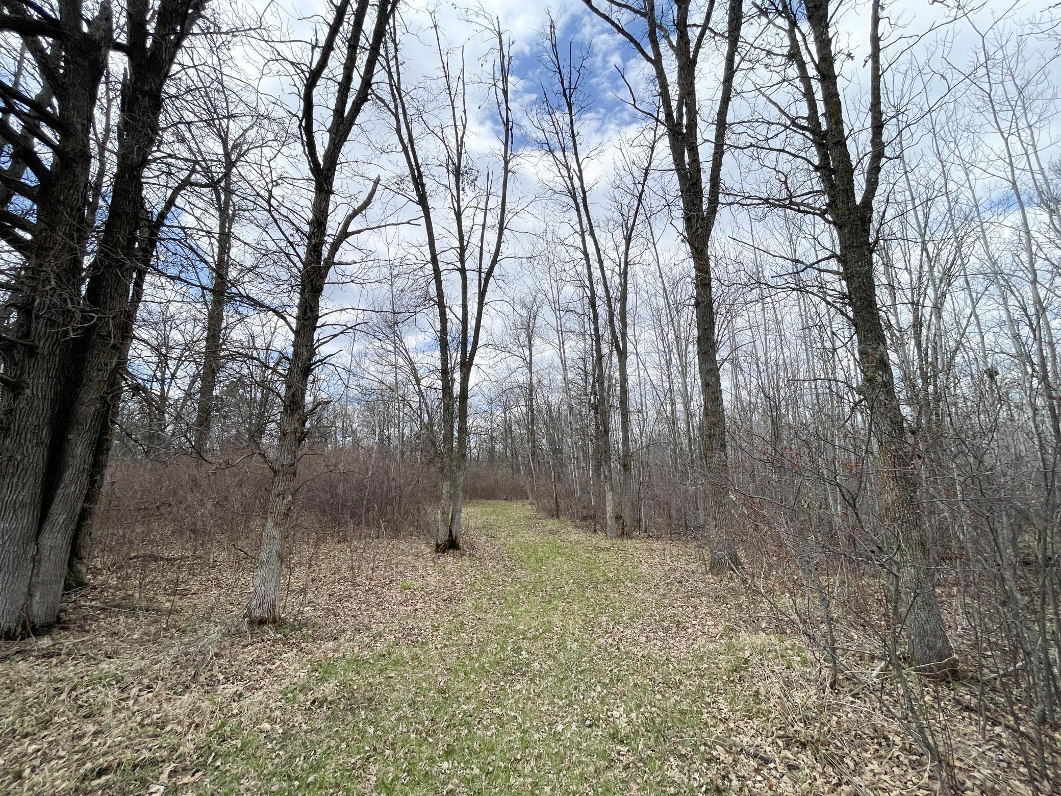 IMG_7093.JPG