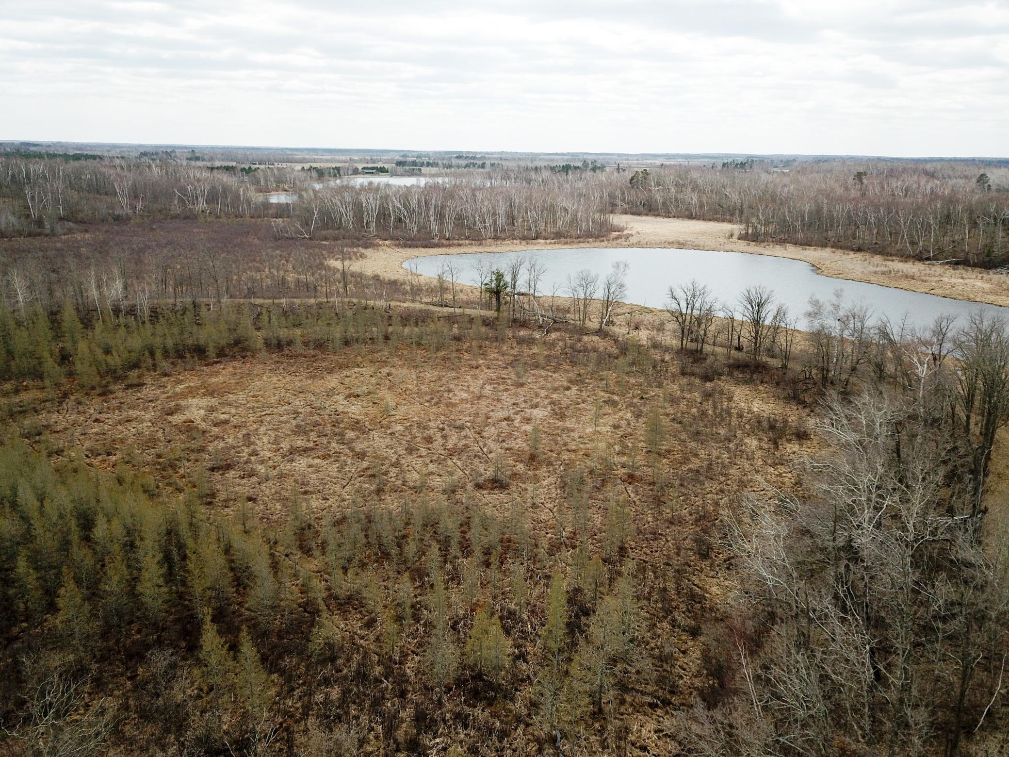 DJI_0140.JPG