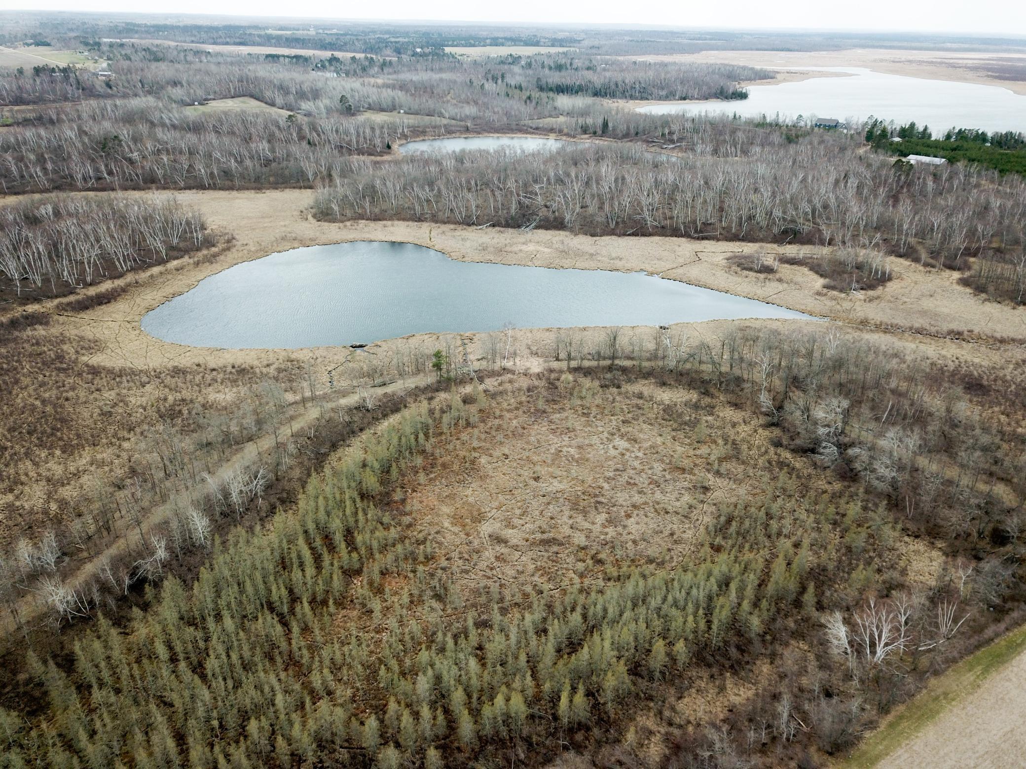 DJI_0163.JPG