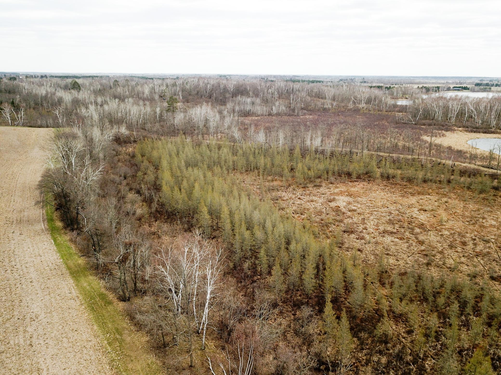 DJI_0141.JPG