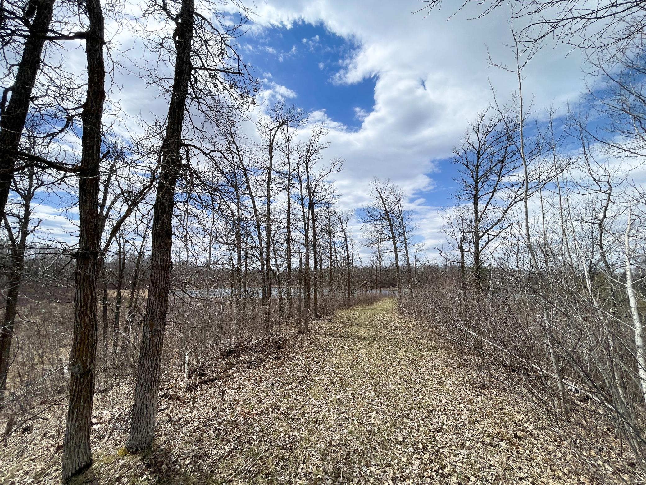 IMG_7064.JPG