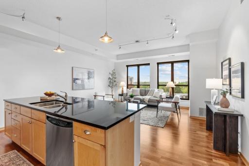 4525 Park Commons Drive, 521, Saint Louis Park, MN 55416