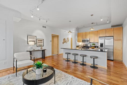 4525 Park Commons Drive, 521, Saint Louis Park, MN 55416