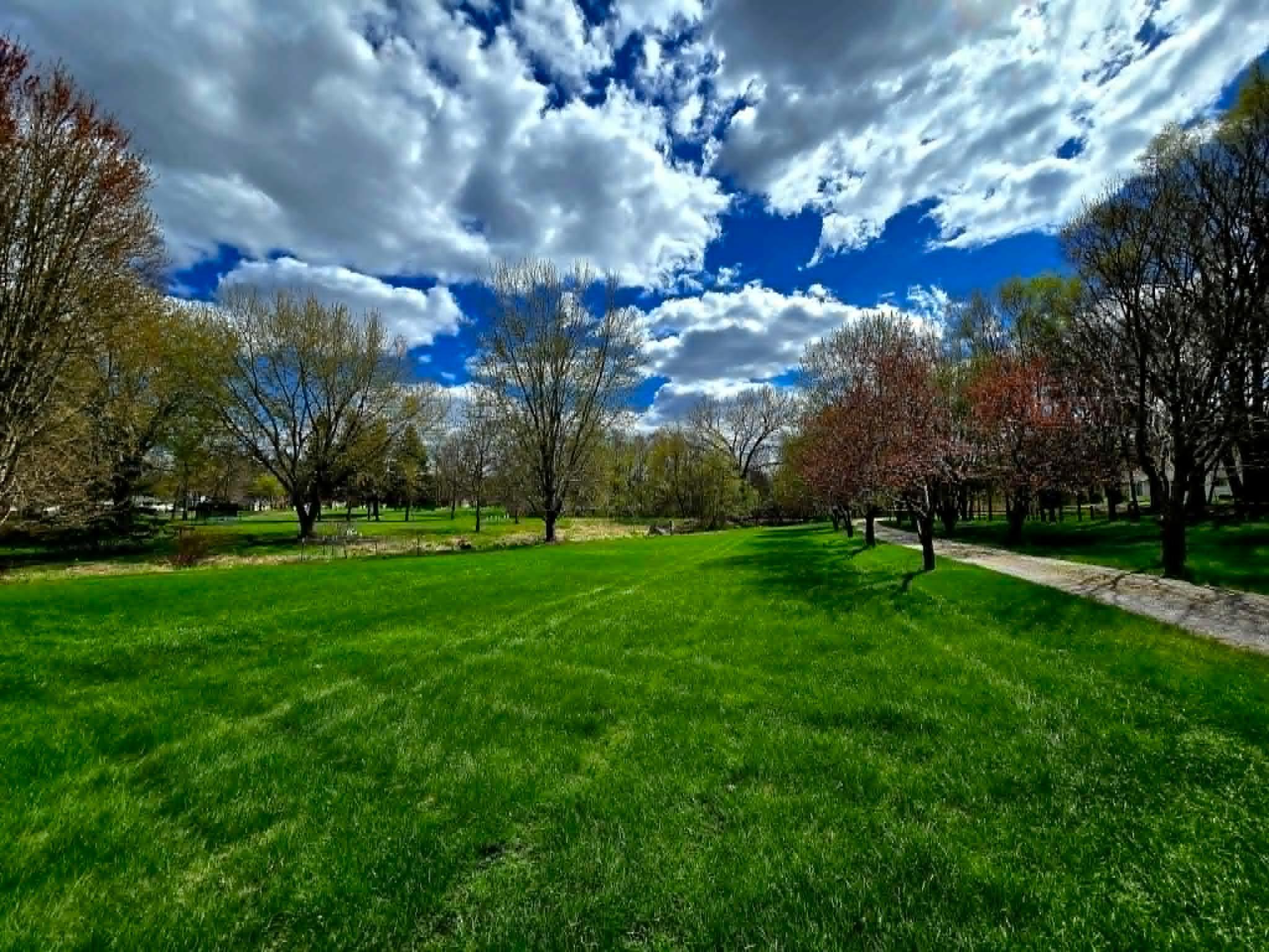 Front yard