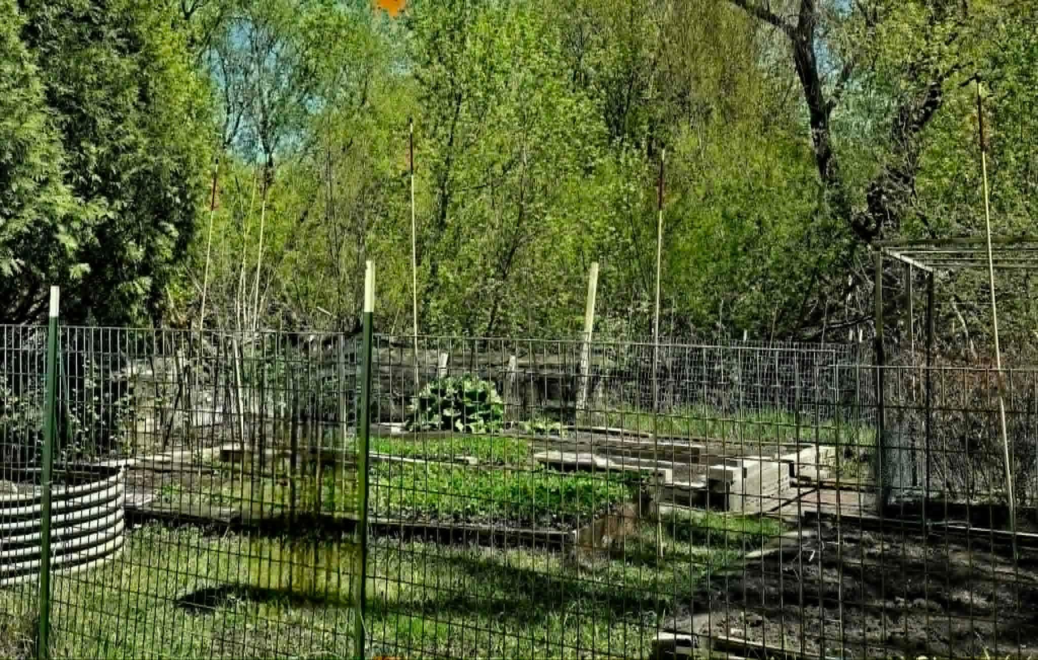 Gardens with Strawberries, Blueberries, Blackberries, Raspberries & more!