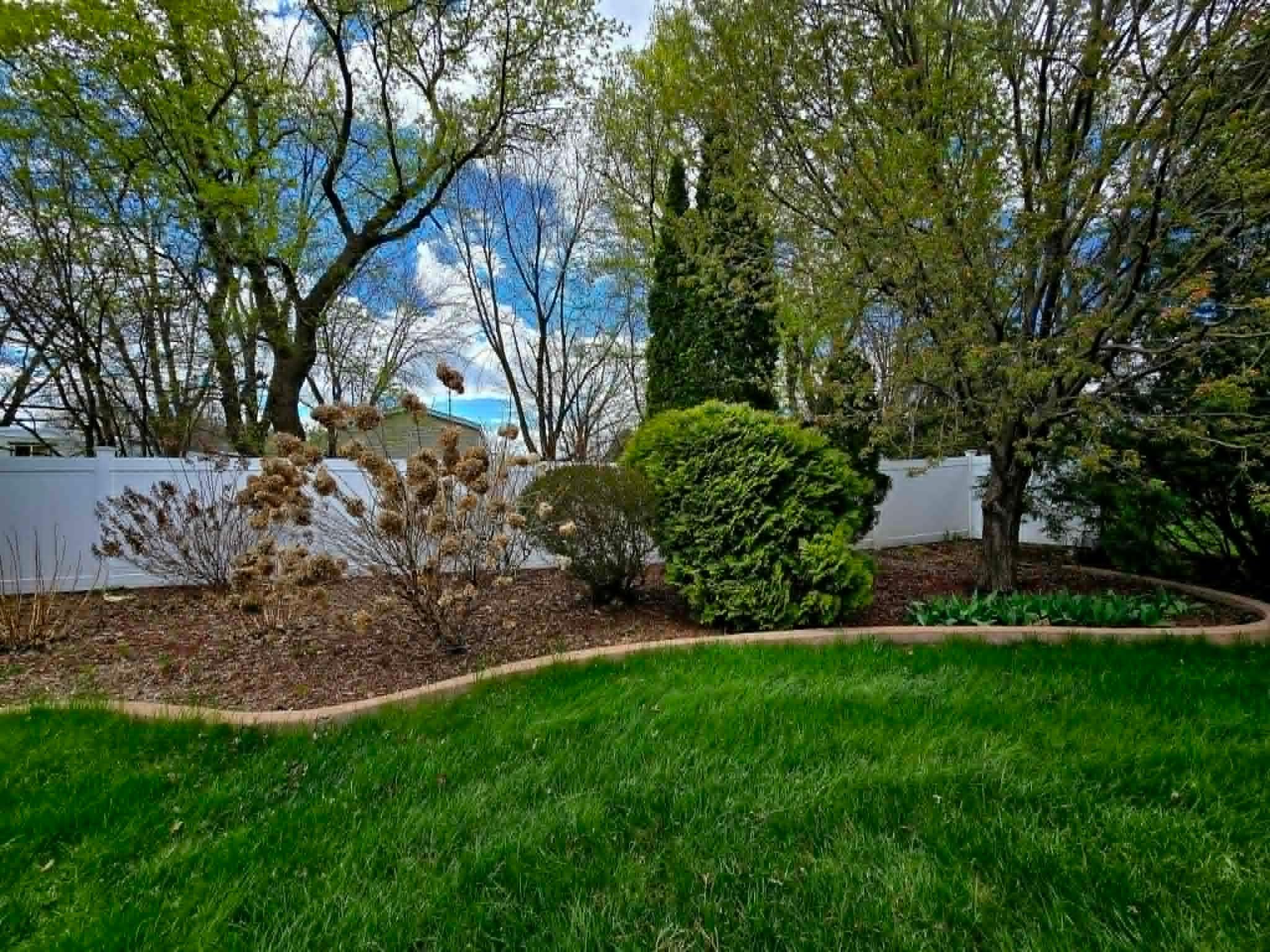 Backyard beauty and privacy with 200ft + privacy fence