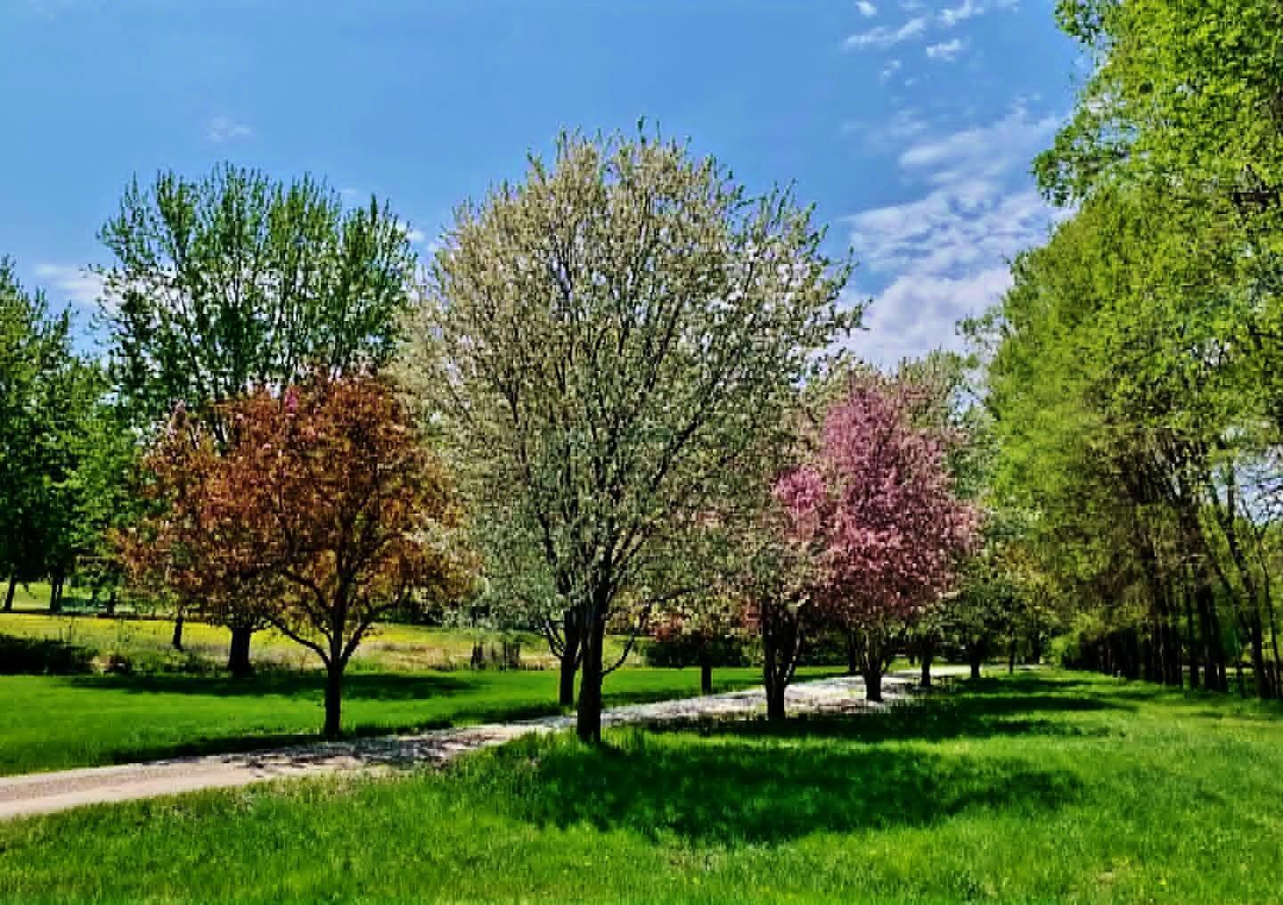 Photo 41