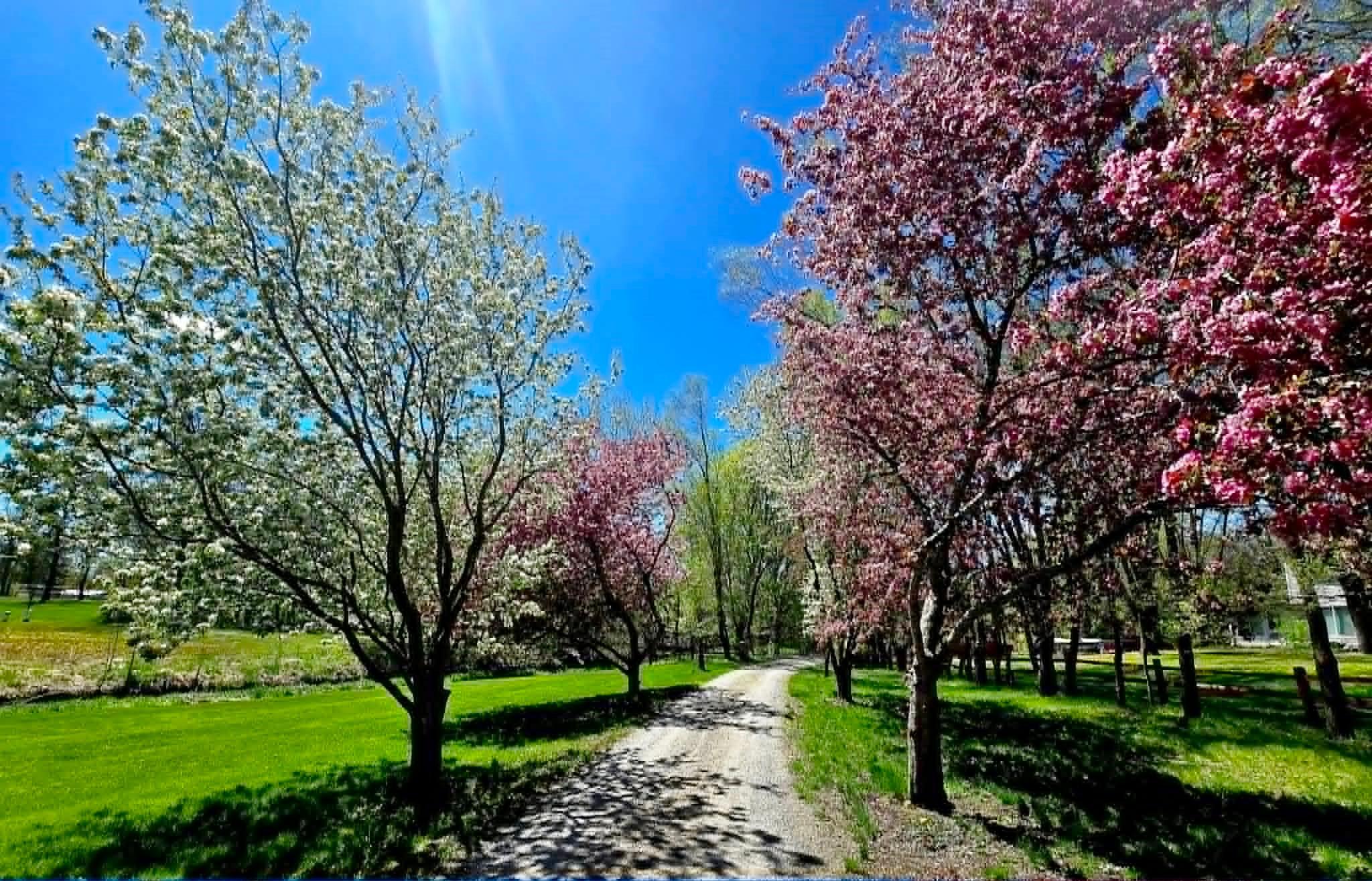 Beauty every where you look