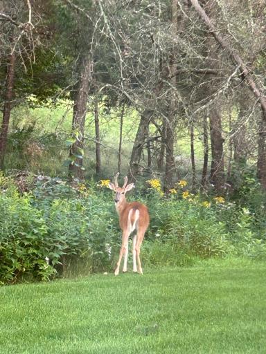 7814 Pueblo Circle, Pequot Lakes, MN 56472