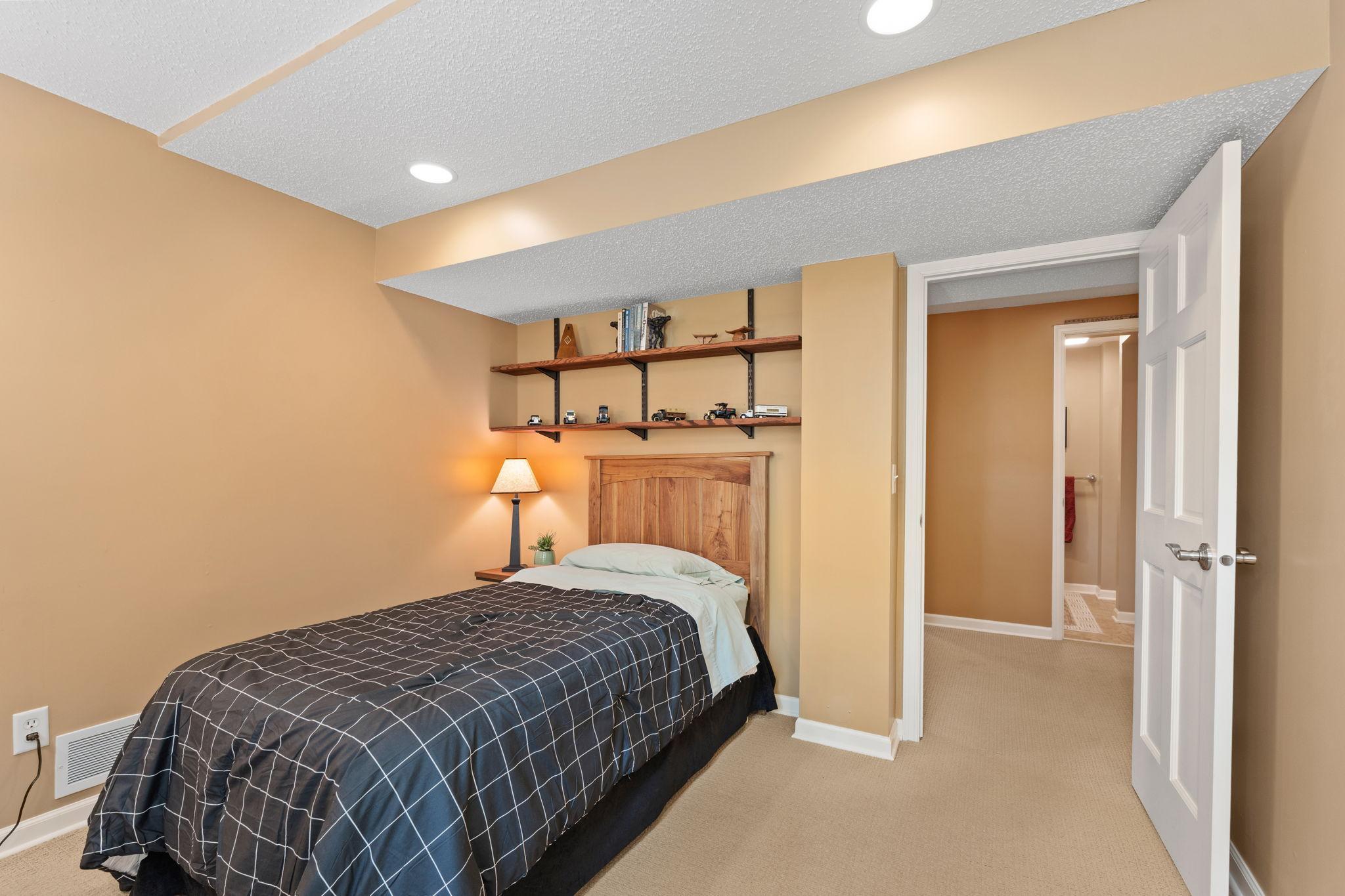 Lower level 4th bedroom
