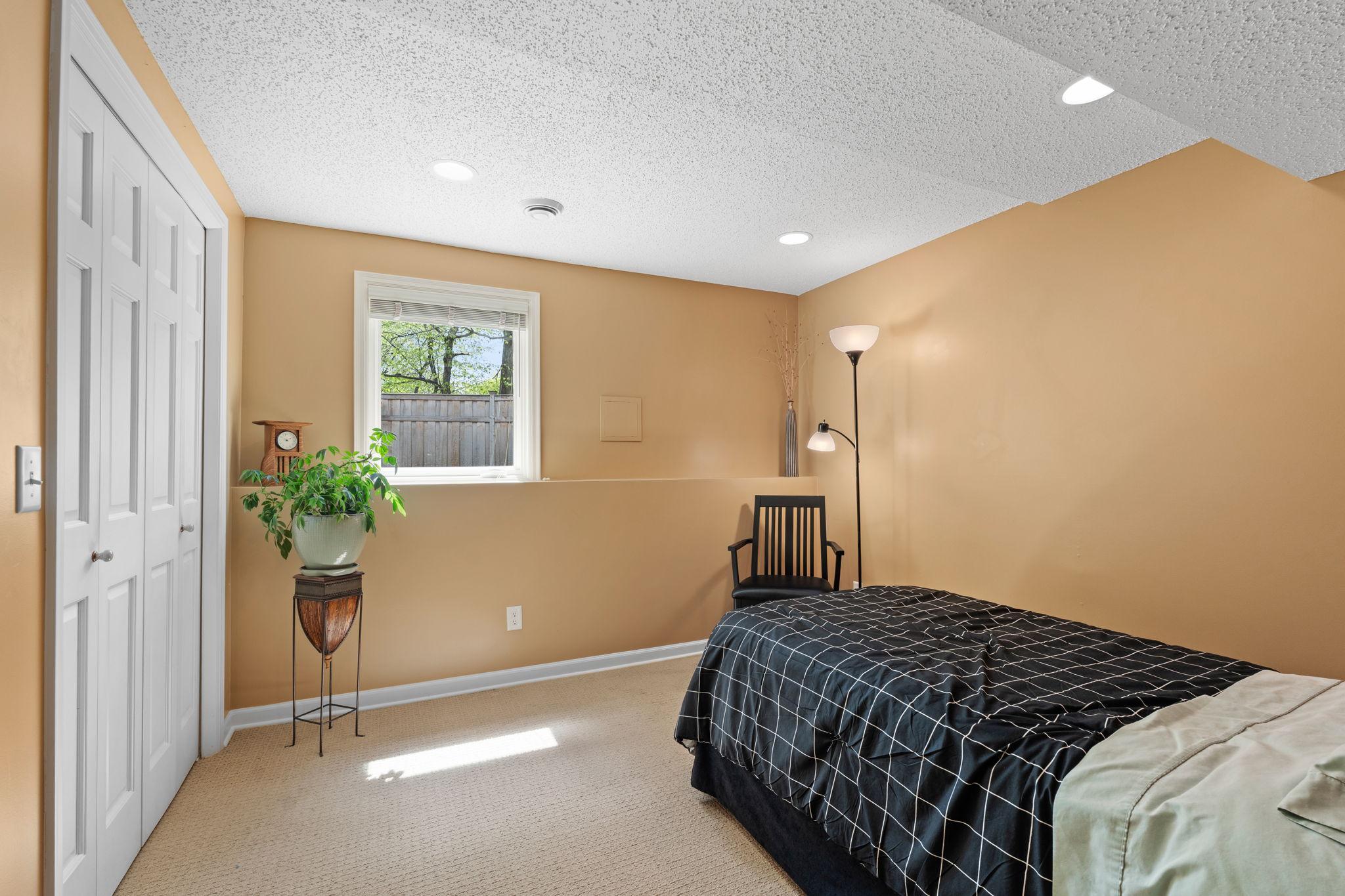 Lower level 4th bedroom