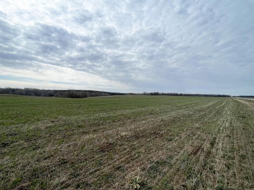 TBD 340th Street SE, Fosston, MN 56542