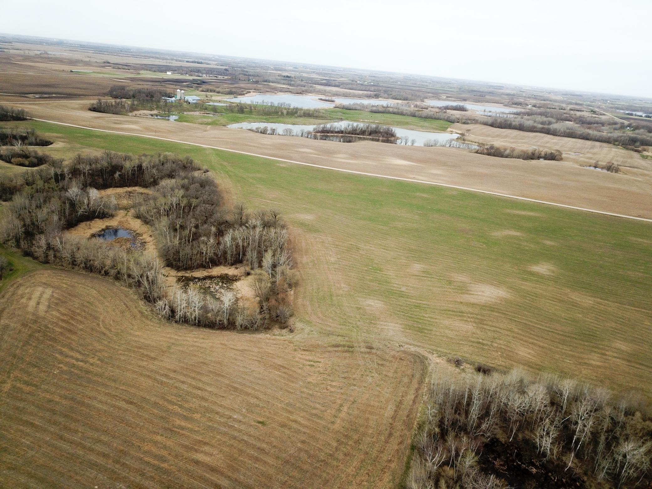 DJI_0026.JPG