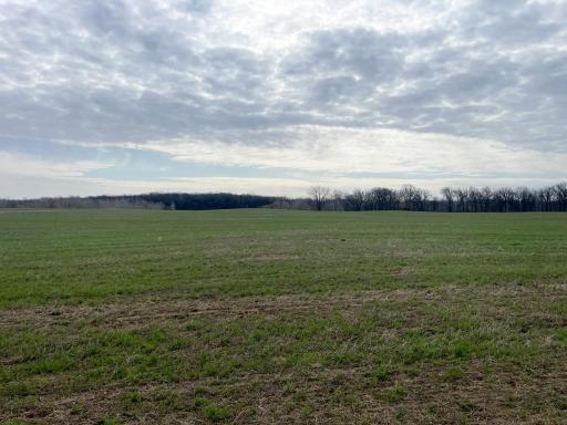 TBD 340th Street SE, Fosston, MN 56542