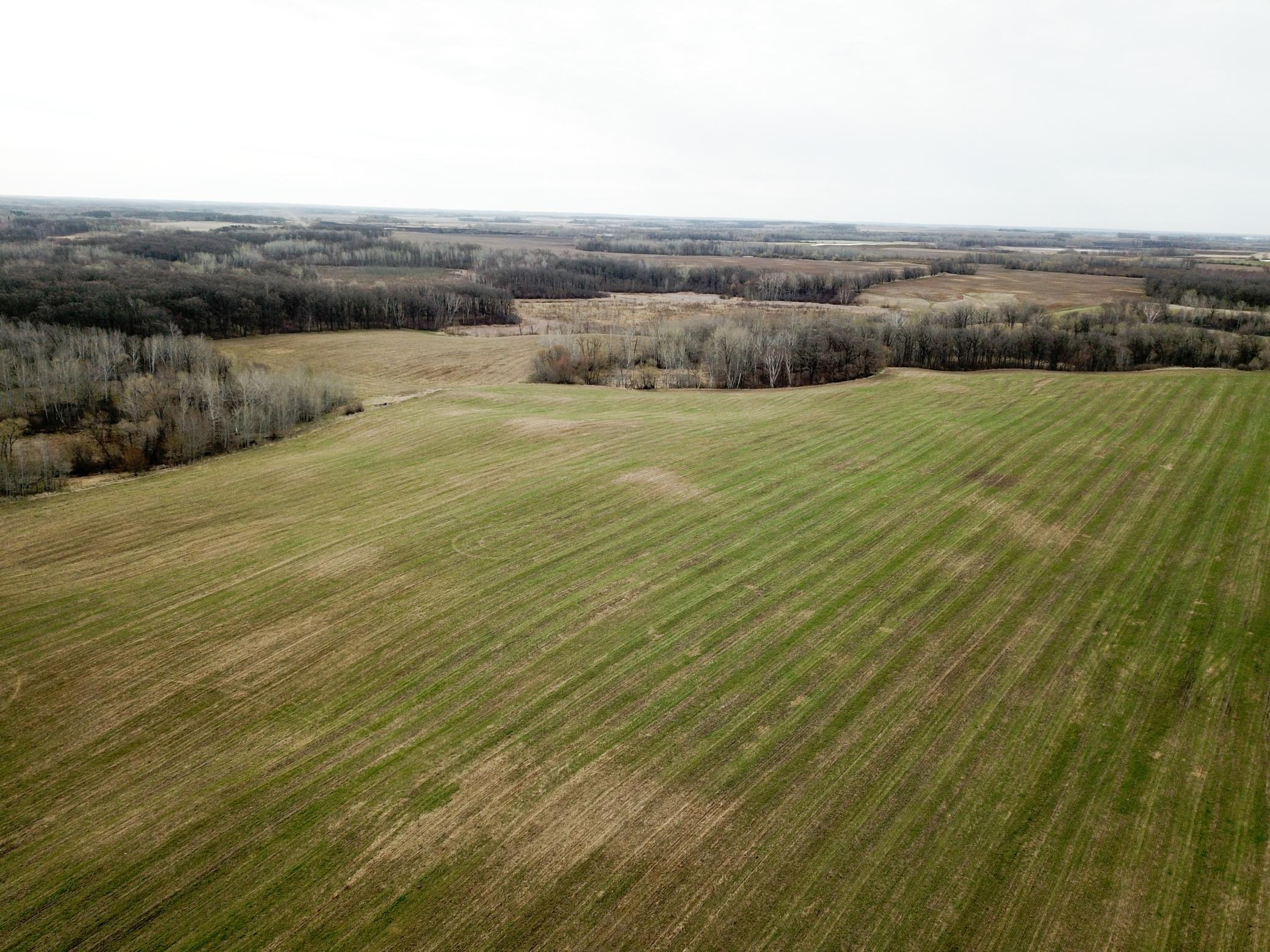 DJI_0050.JPG