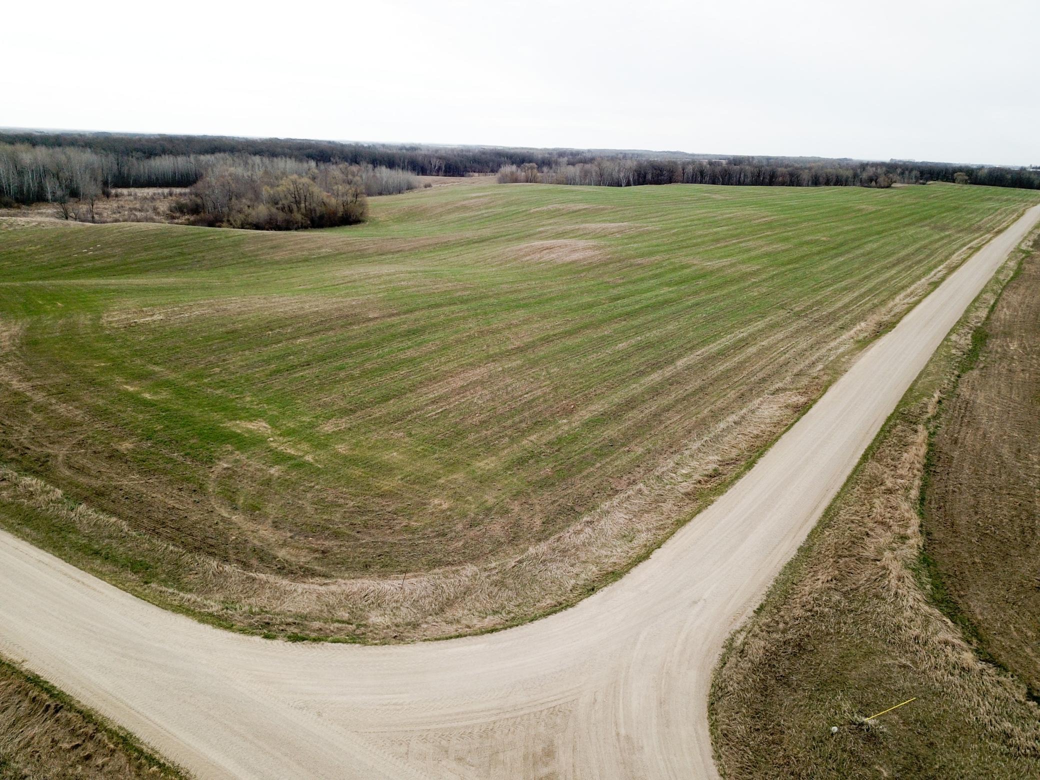 DJI_0002.JPG
