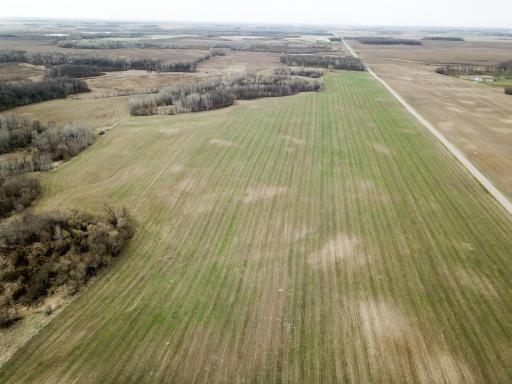 TBD 340th Street SE, Fosston, MN 56542