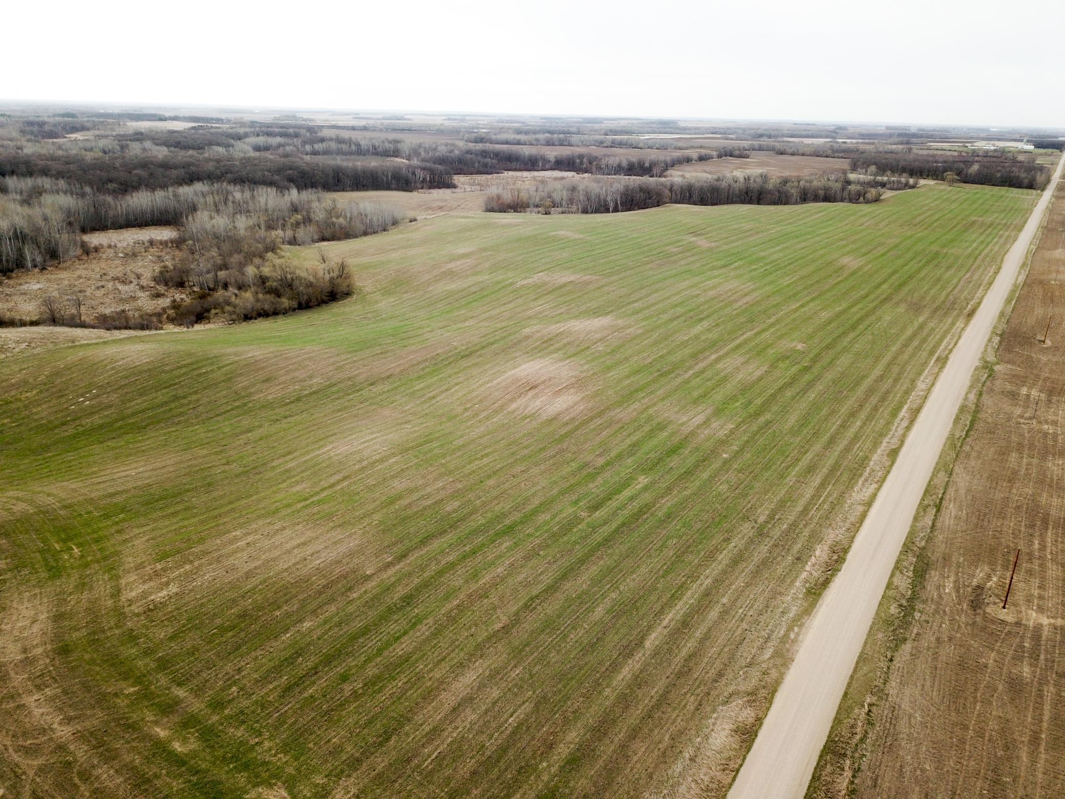 DJI_0004.JPG