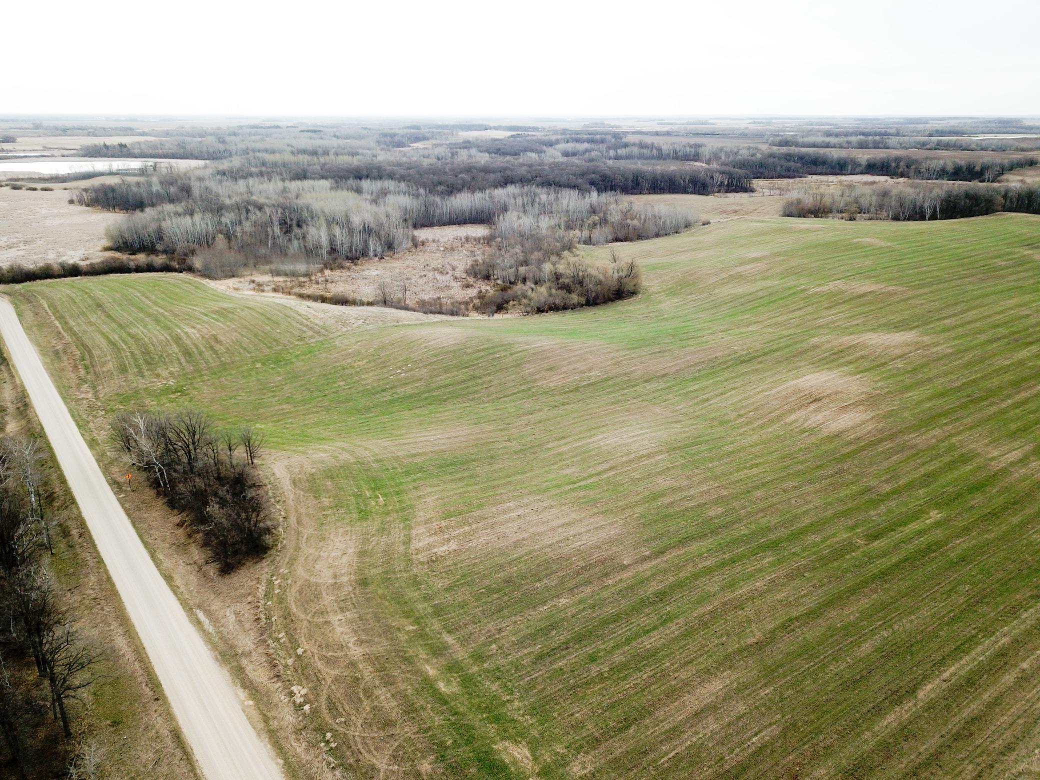 DJI_0005.JPG