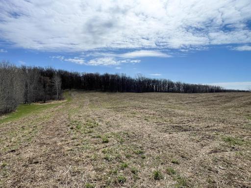 TBD 340th Street SE, Fosston, MN 56542