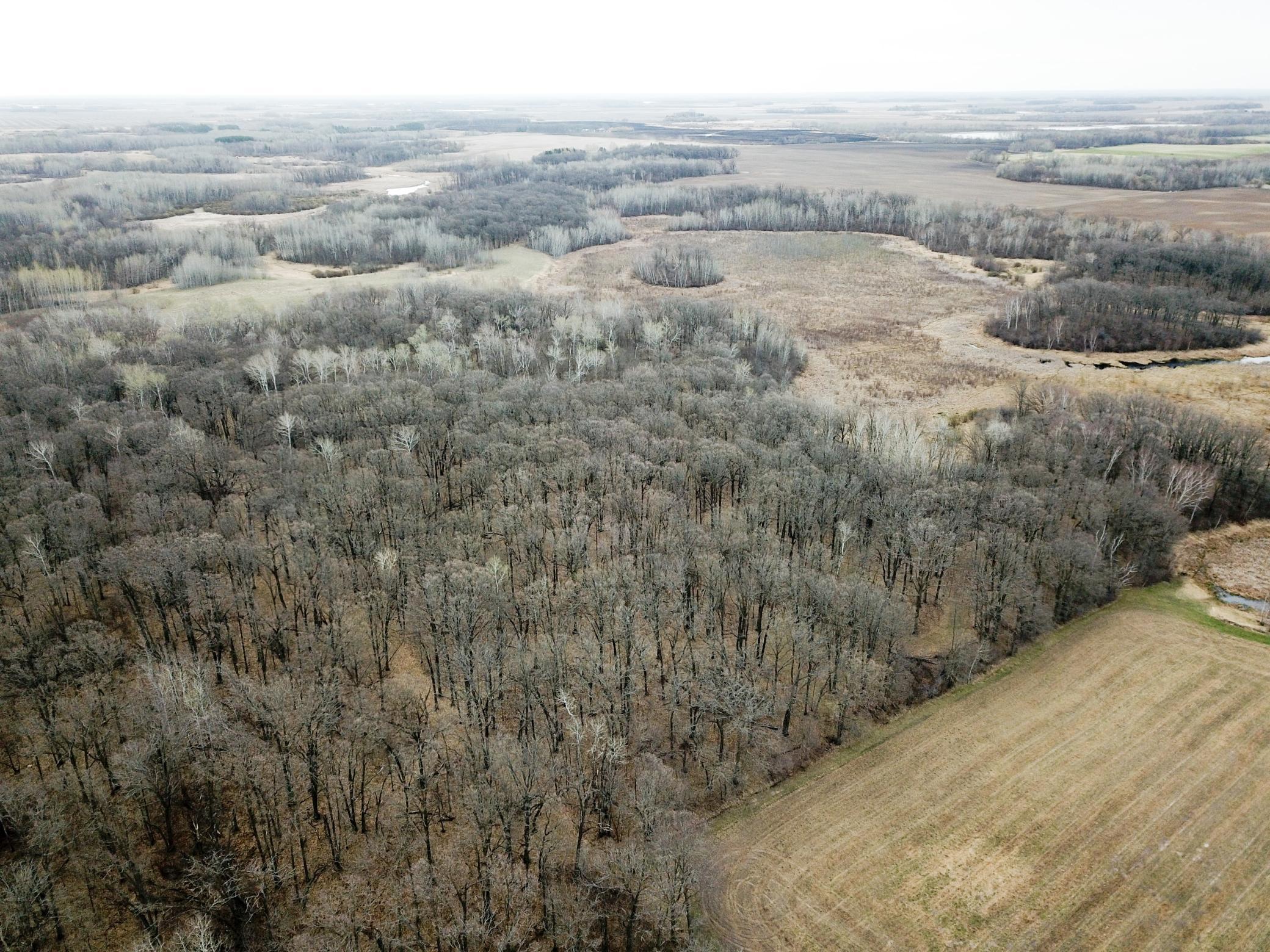 DJI_0021.JPG