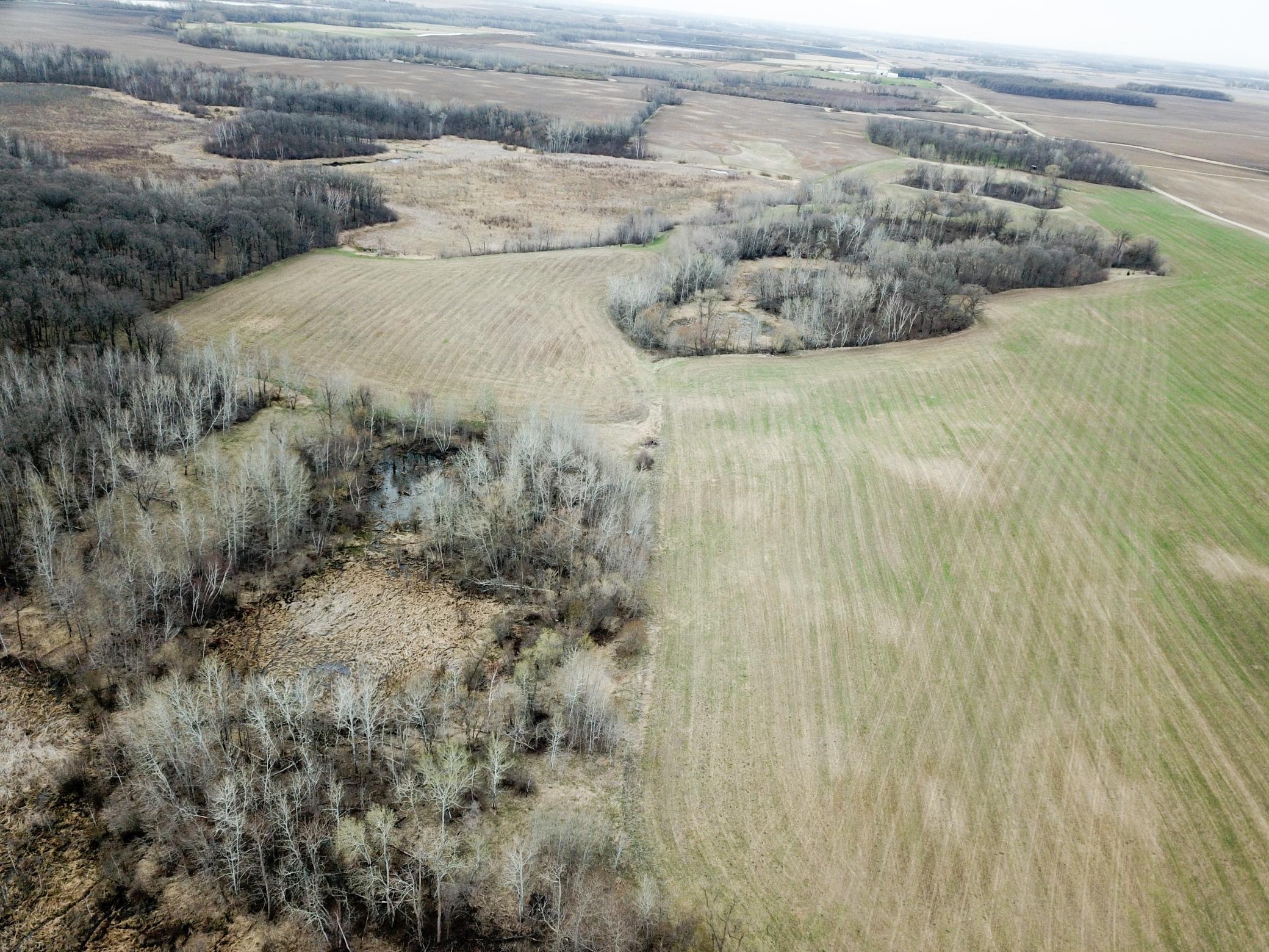 DJI_0016.JPG