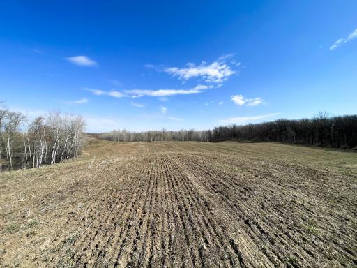 TBD 340th Street SE, Fosston, MN 56542