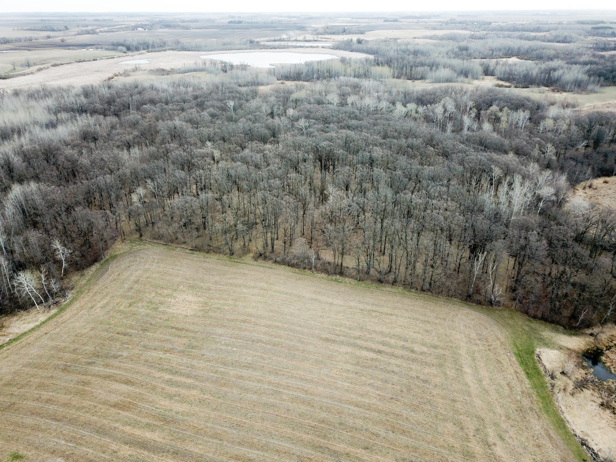 DJI_0036.JPG