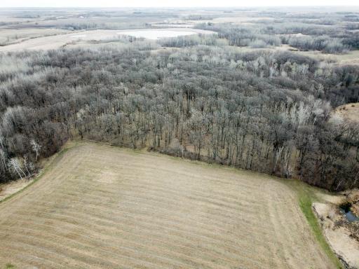 TBD 340th Street SE, Fosston, MN 56542