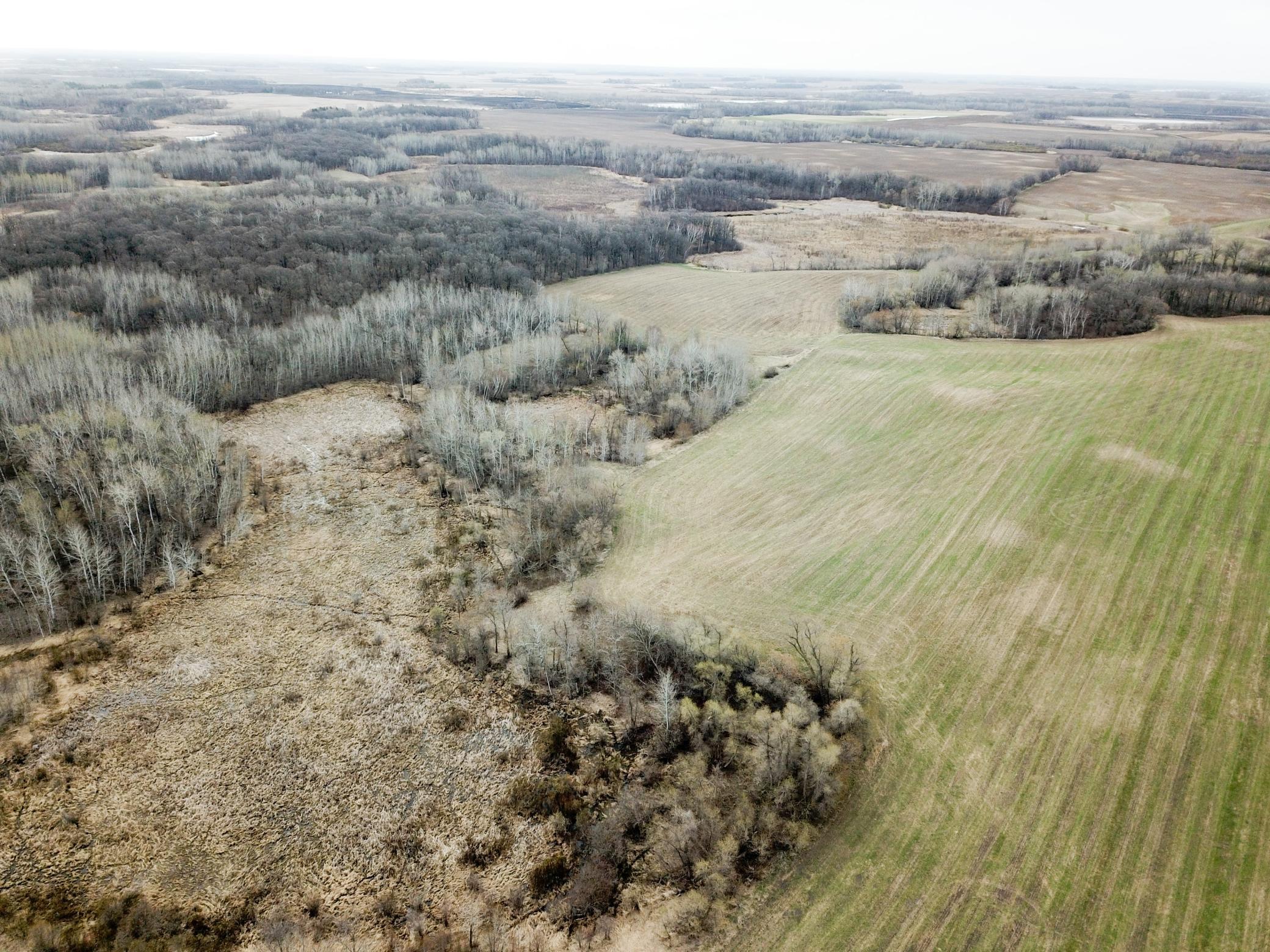 DJI_0013.JPG
