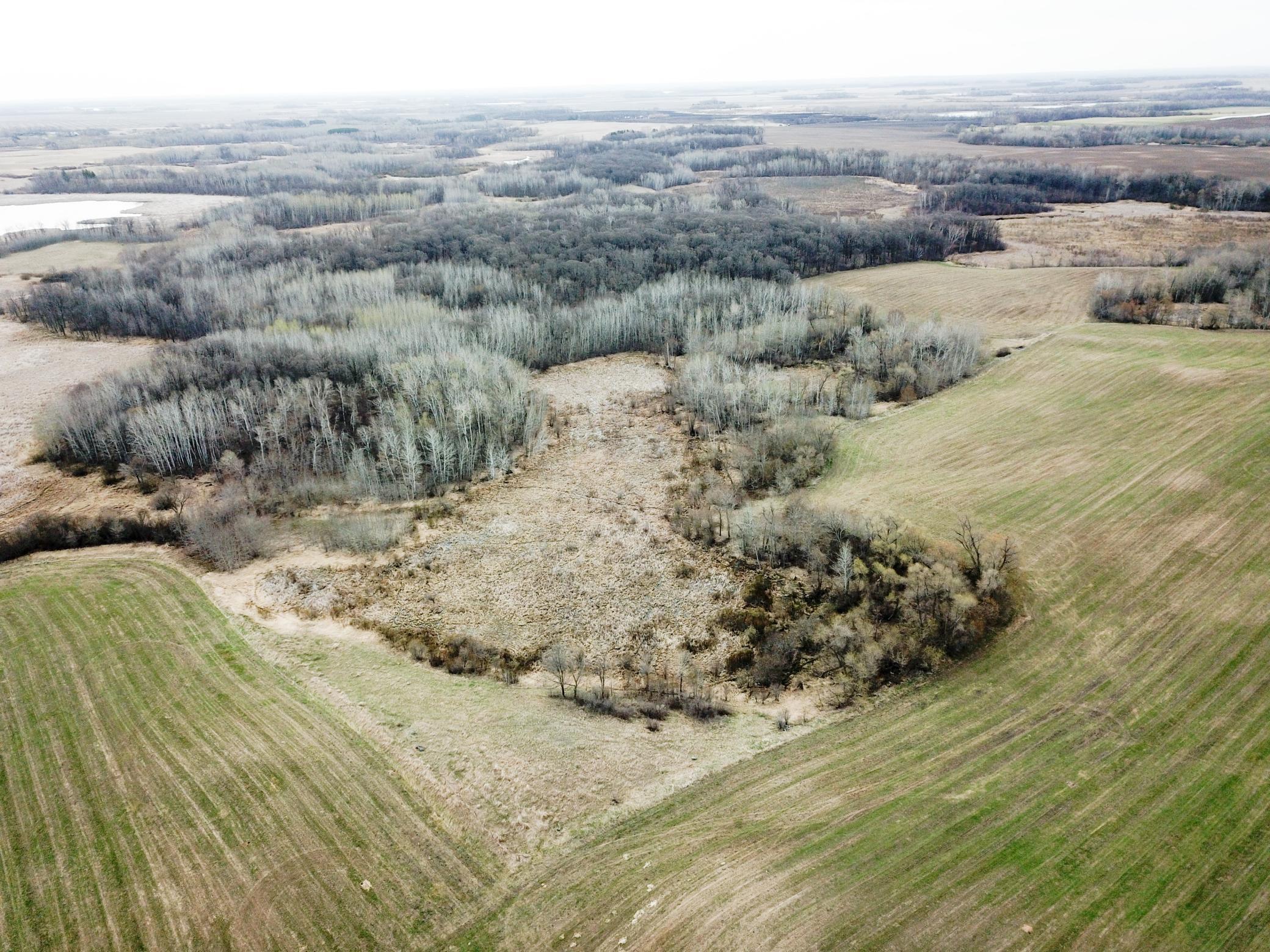 DJI_0012.JPG