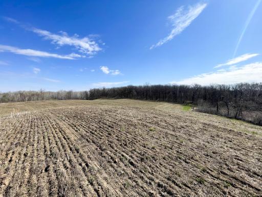 TBD 340th Street SE, Fosston, MN 56542