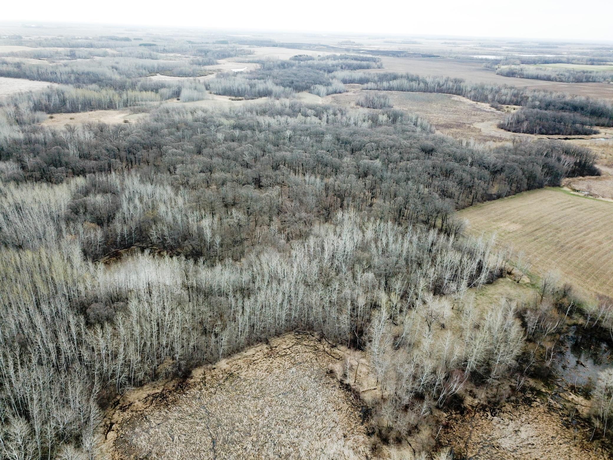 DJI_0017.JPG