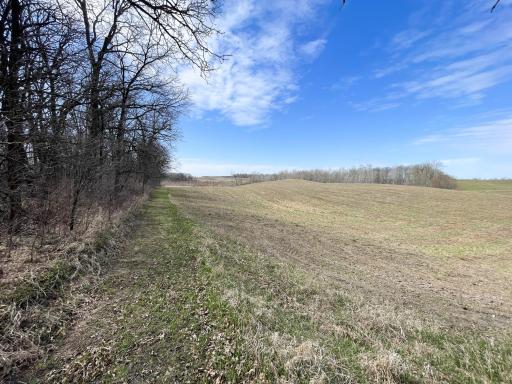TBD 340th Street SE, Fosston, MN 56542