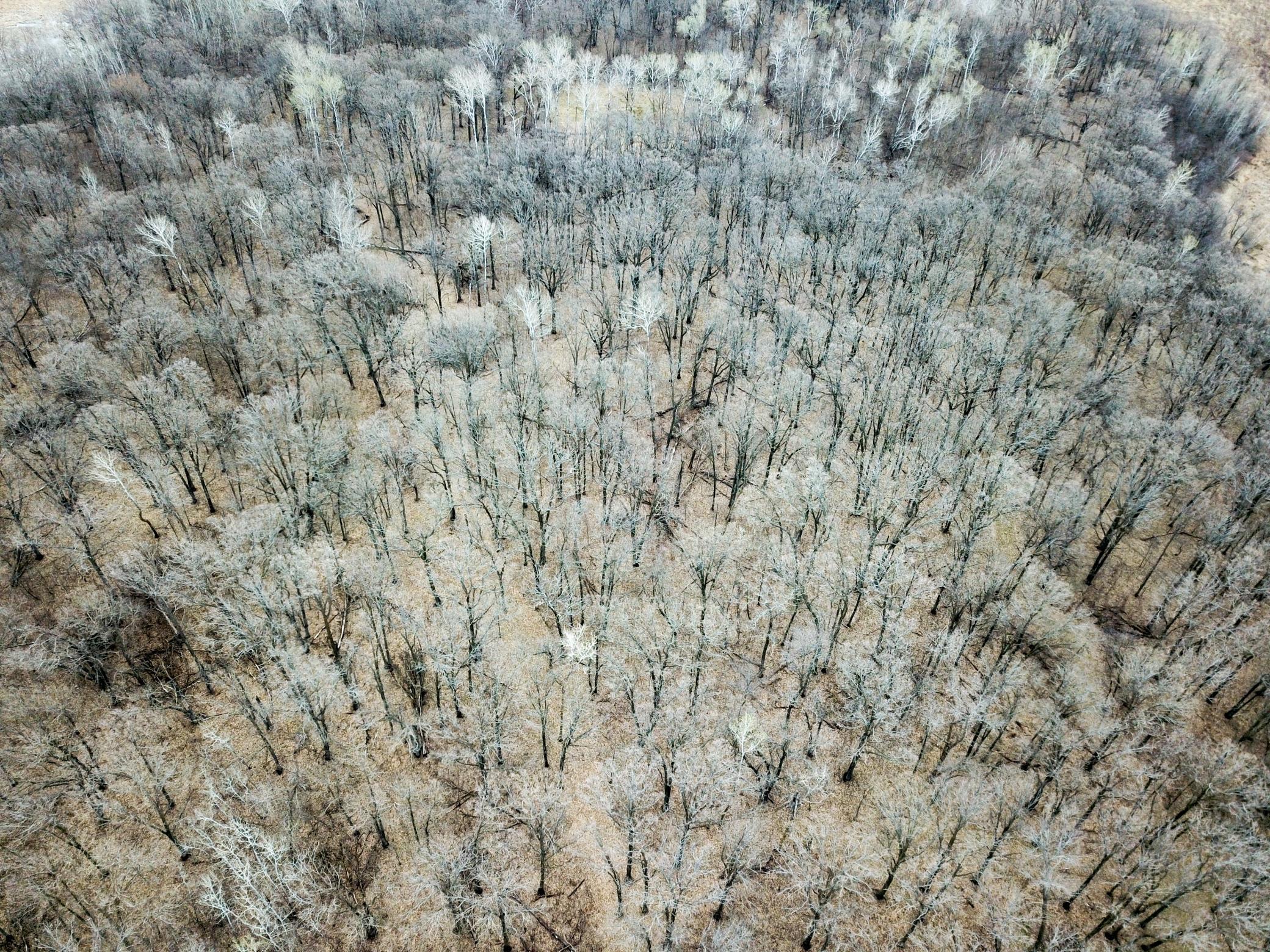 DJI_0023.JPG