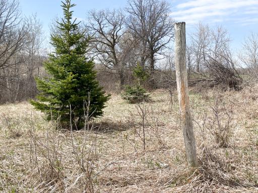 TBD 340th Street SE, Fosston, MN 56542