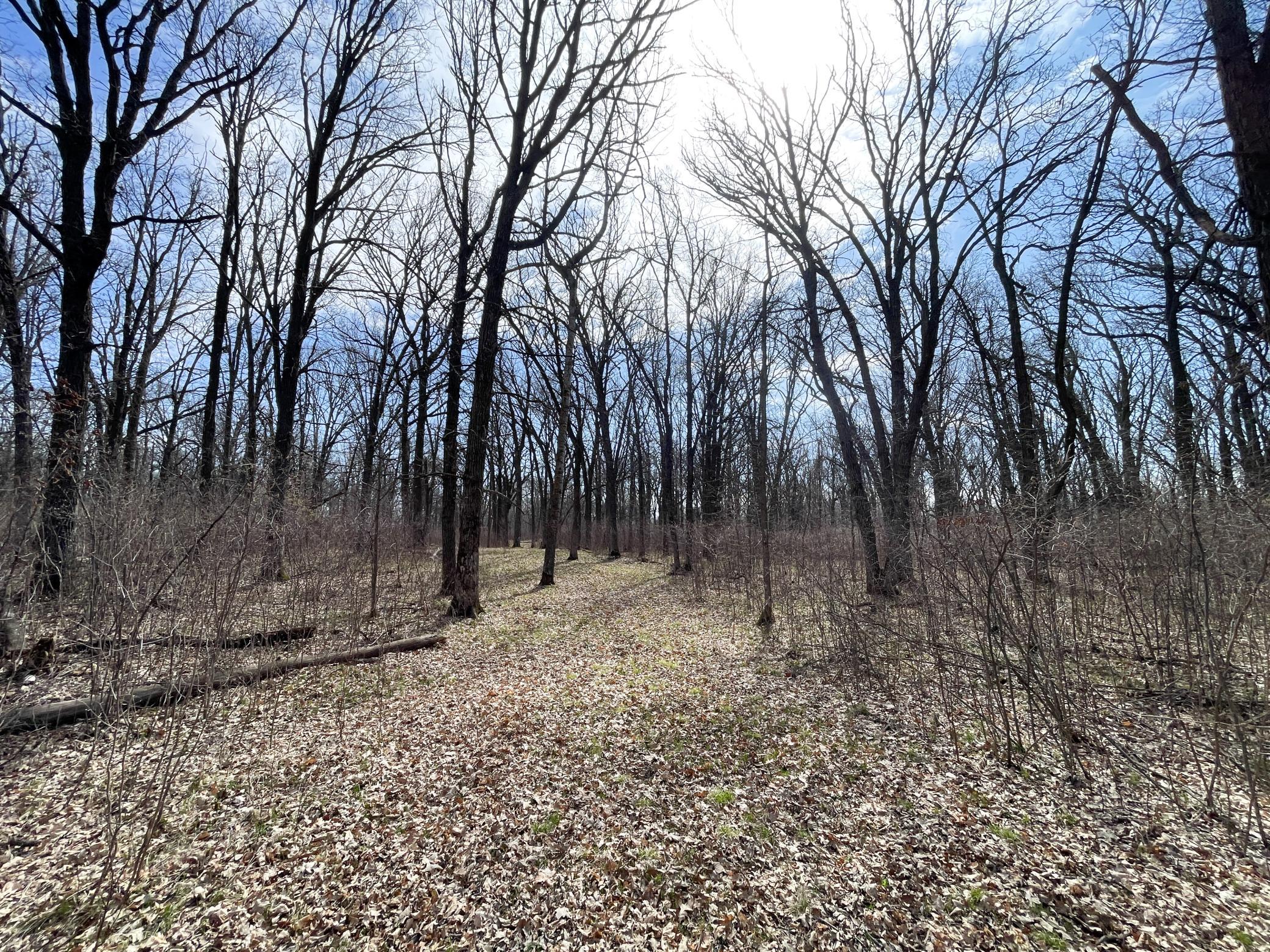 IMG_6993.JPG