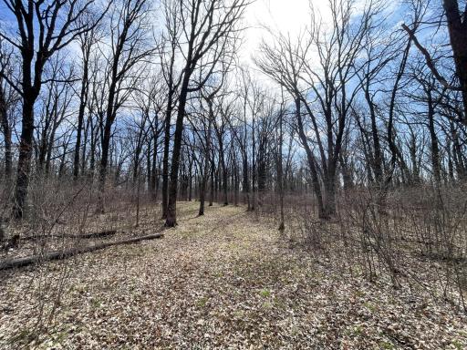 TBD 340th Street SE, Fosston, MN 56542