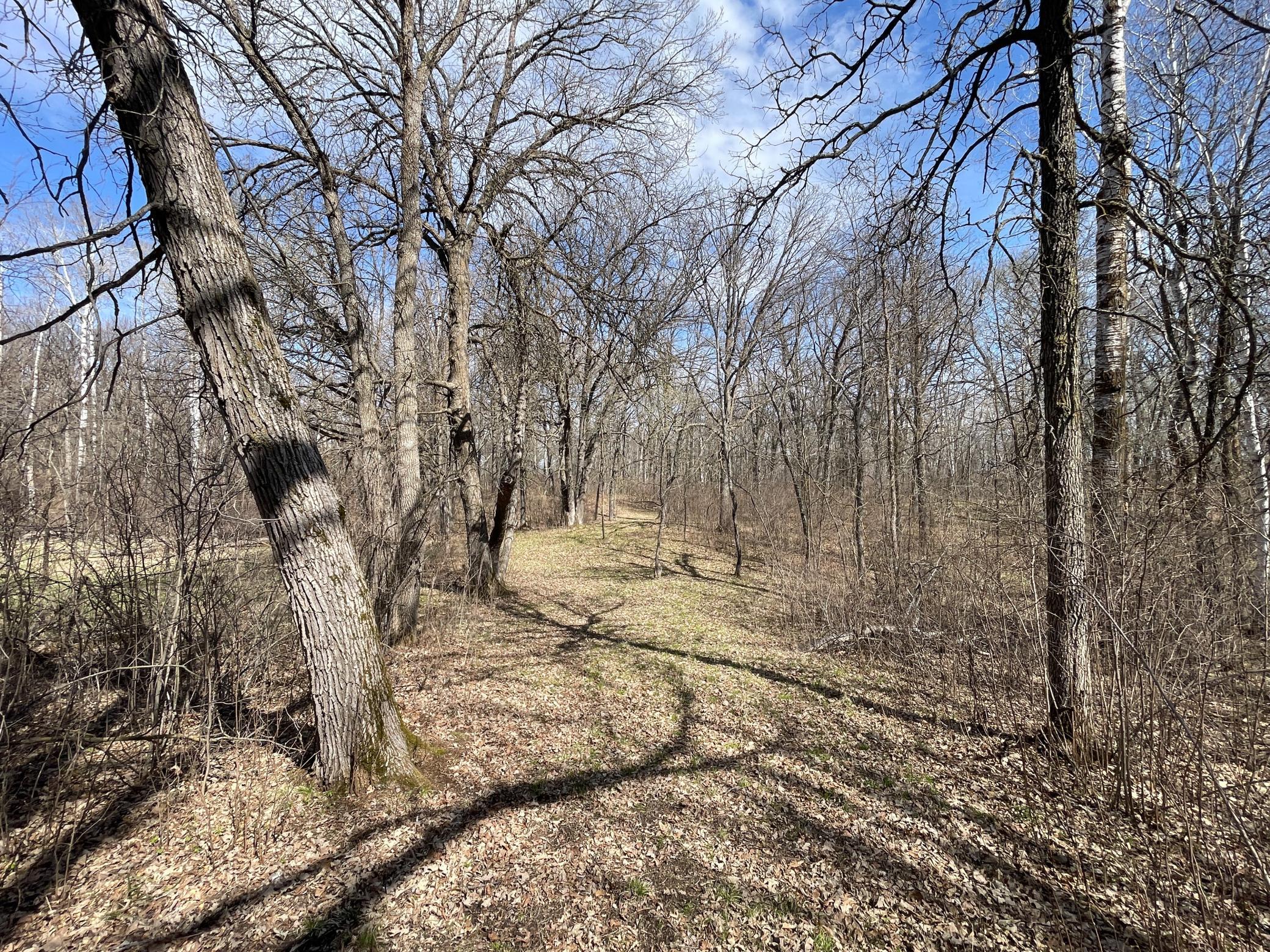 IMG_6990.JPG