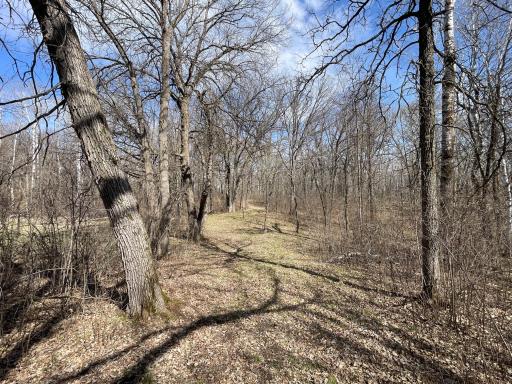 TBD 340th Street SE, Fosston, MN 56542