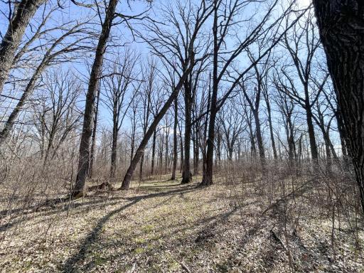 TBD 340th Street SE, Fosston, MN 56542