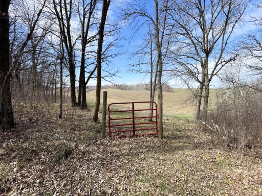 TBD 340th Street SE, Fosston, MN 56542