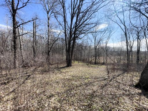 TBD 340th Street SE, Fosston, MN 56542