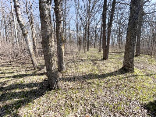 TBD 340th Street SE, Fosston, MN 56542
