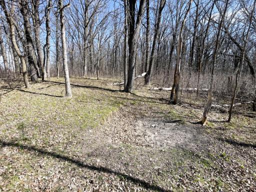 TBD 340th Street SE, Fosston, MN 56542