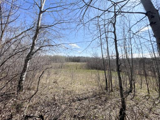 TBD 340th Street SE, Fosston, MN 56542