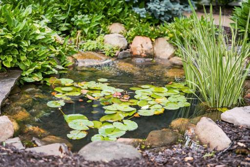 This water feature just might be one of your favorite features.